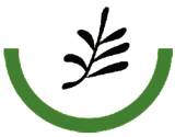 Logo Bauckloh-Stiftung