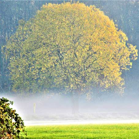 Emscher Herbststimmung