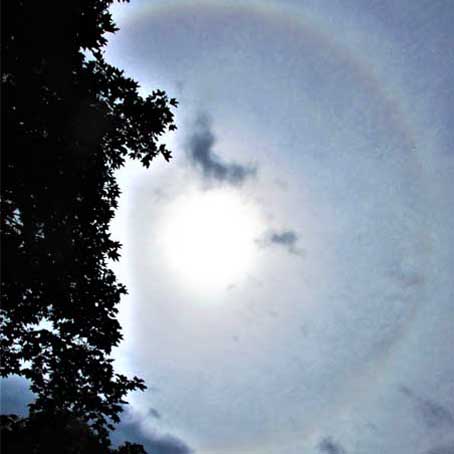 Zirkumhorizontalbogen